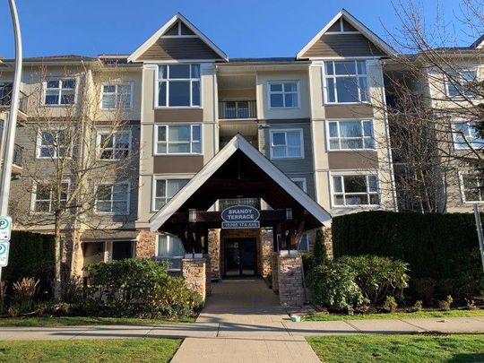 Bright & Spacious Top-Floor 2 Bedroom/2 Bathroom - Photo 1