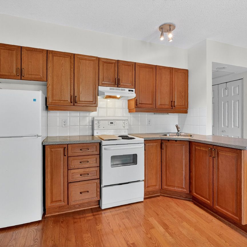 For Lease - 150 York Street Unit# 3A, Lower Town - Sandy Hill, Ontario - Photo 1