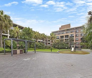 145/1 Brown Street, Ashfield - Photo 1