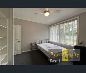 41A University Drive, Waratah West, NSW 2298 - Photo 3