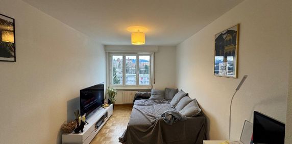 Bel appartement de 2 pièces au 6ème étage à Fribourg - Photo 2