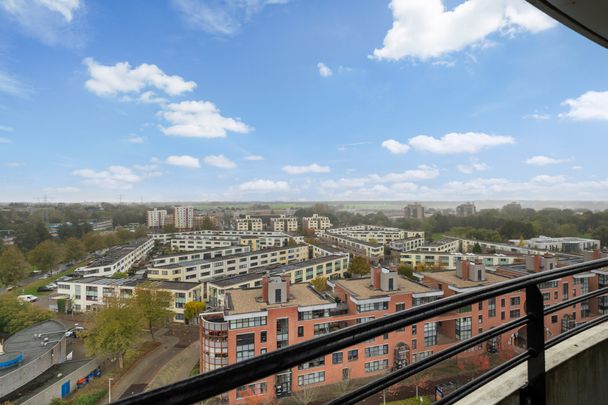 Tine van Dethstraat - Foto 1