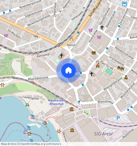 Wildenstrasse 16, 8212, Neuhausen