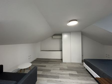 Location Appartement 1 pièce 21m² EVIAN LES BAINS 74500 - Photo 5