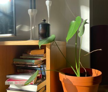 Stora Gatan, Västerås - Foto 4