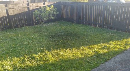 Huge Deck Fully fenced. Washer, Dryer Dishwasher. - Photo 3