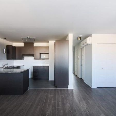 2 CH - 1 SDB - Longueuil - $1,750 /mo - Photo 4