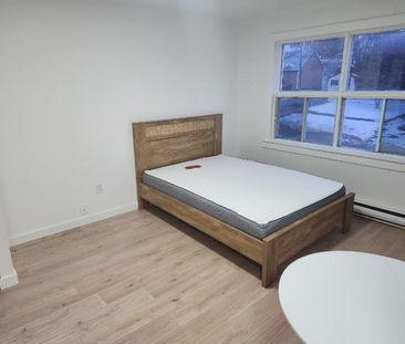 1 1/2 - Sherbrooke - $725 /mois - Photo 1