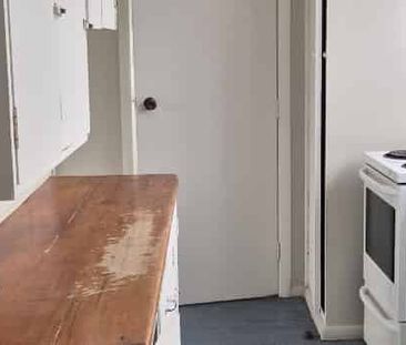 Awaiting New Family - Photo 4