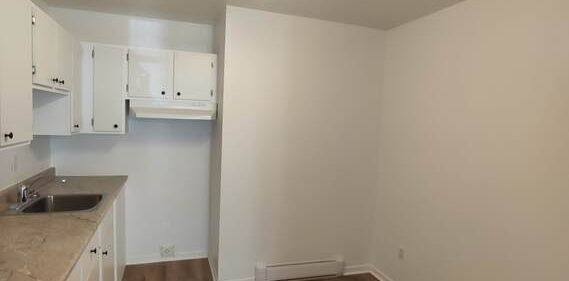 4 ½, 2 Chambres, Centre-sud, Près UQAM - Photo 2