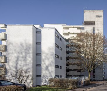 3-Zimmer- Wohnung im EG mit Balkon - Foto 2