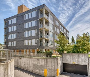 Appartement à louer - Brossard (Noms de rues (L)) Appartement à lou... - Photo 2