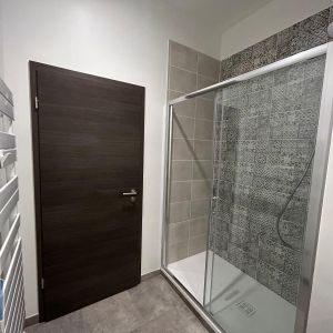 Appartement 1 pièce à Metz - Photo 2