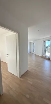 Erstbezug: 39 m² Panorama Terrasse an der alten Donau - Foto 1