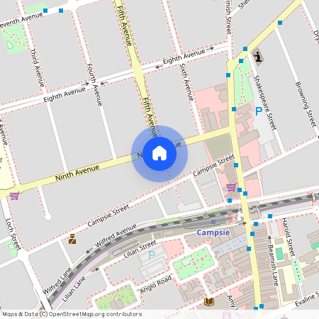 44 Ninth Avenue, NSW 2194, Campsie