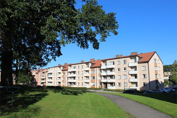 Ängsvägen, Finspång - Foto 1