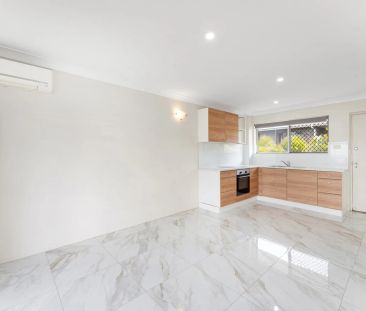 Newly Renovated Elevated Urban Retreat - Photo 4