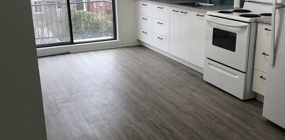 Logement Rénové - Photo 2