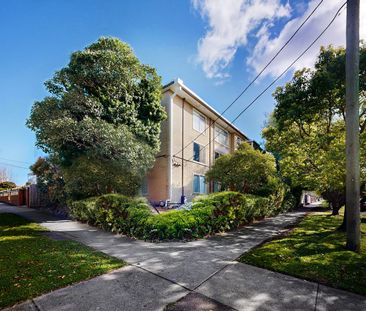Renovated Ground Floor Apartment - Photo 2