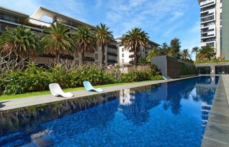 Camperdown - Photo 4