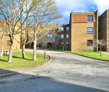 Mulberry Court, Guildford, Surrey, GU4 7EQ - Photo 5