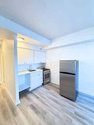 Renovated studio JULY 1ST – 175 Sherbrooke O - Photo 1