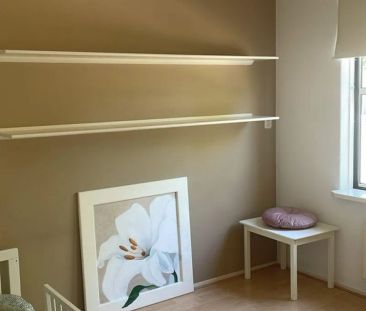 Melkdistelstraat - Photo 5