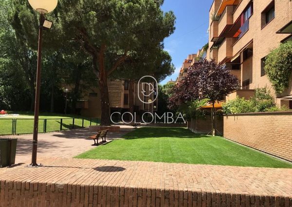 Luxury Apartment for rent in Madrid, Autonomous Region of Madrid