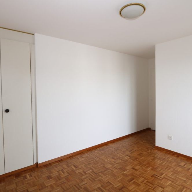 Appartement de 5 pièces en attique avec mezzanine et terrasse à Thônex - Photo 1