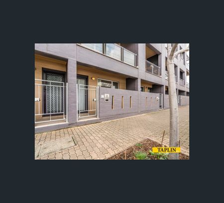 39A Wright Street, Adelaide, SA 5000 - Photo 4