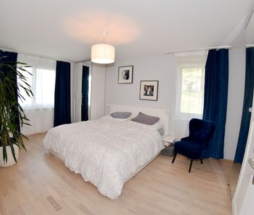 EVENING SUN UNTIL SUNSET ... - Photo 5