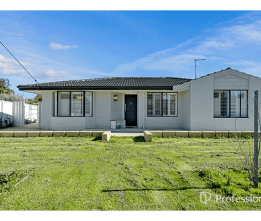 46 Hibiscus Road, Maddington, WA 6109 - Photo 4