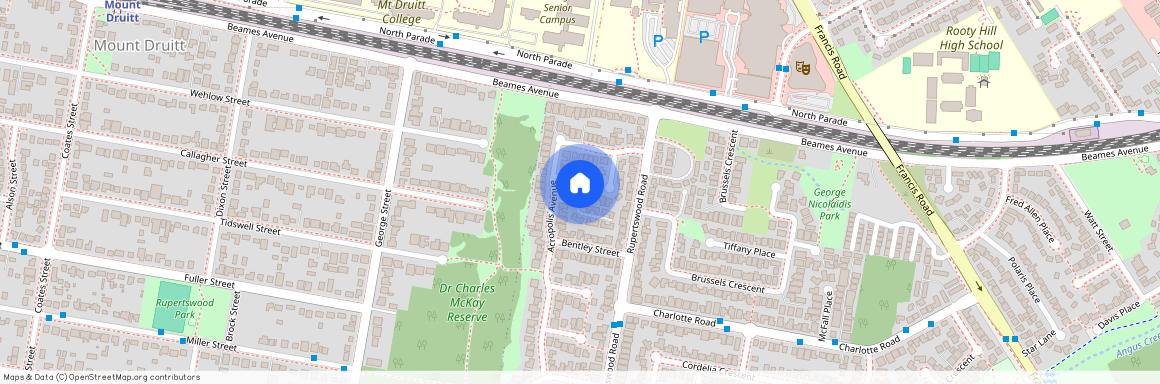 8 Theodore Place Rooty Hill