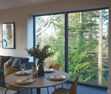 Scholarstown Wood - Photo 5