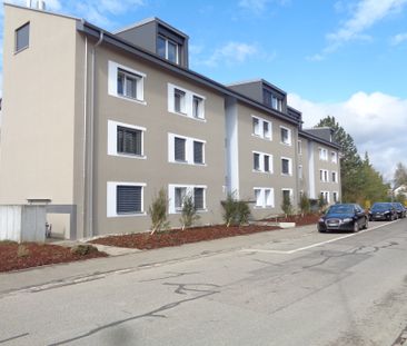 3.5 Zimmerwohnung in Embrach - Foto 5