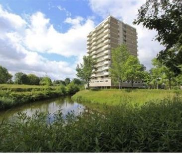 Apartment Zoetermeer - Alexanderstraat - Photo 1