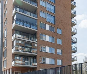 Te huur: Appartement Theseusstraat 147 in Rotterdam - Photo 6