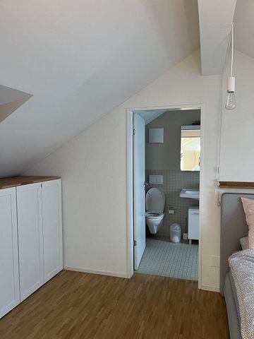 Moderne Maisonette-Wohnung mit Balkon an zentraler Lage von St. Gallen - Foto 3