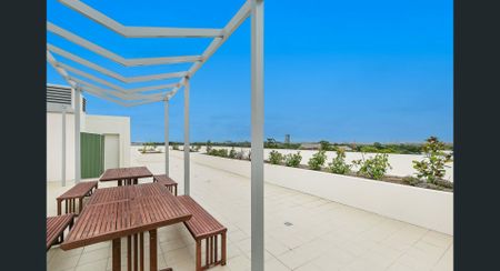 A Hidden Gem in Homebush - Photo 5