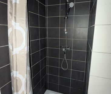 Location Appartement 1 pièce 25m² - Photo 5