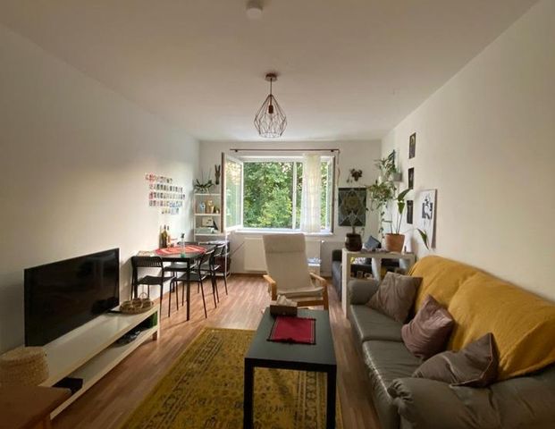 Schöne 3-Zimmer teilmöblierte Wohnung Cottbus Mitte - Foto 1