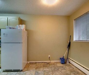 2 Bed unit across from Bowen Park close to amenities. - Photo 4