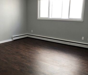 1 BDRM/1 BATH - 422 4TH AVE N - Available MAR 1 - Photo 3