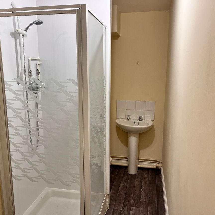 Bryn Y Mor Road, Brynmill, Swansea. SA1 4JE. - Photo 1