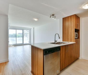 9950 Place de l'Acadie, app.377, H4N 0C9, Montréal - Photo 6