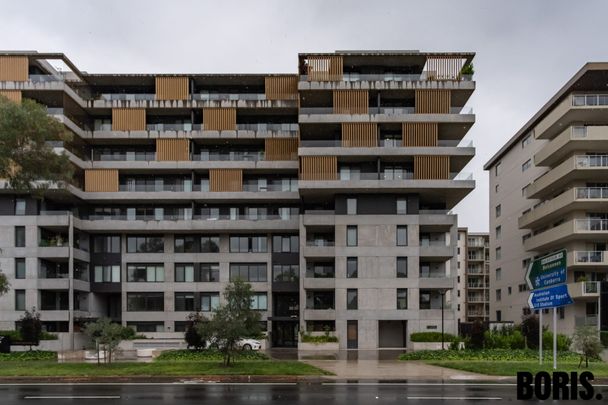37/217 Northbourne Avenue Turner ACT - Photo 1