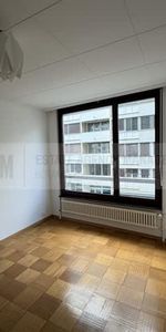 3 Zimmer, EG - Photo 4