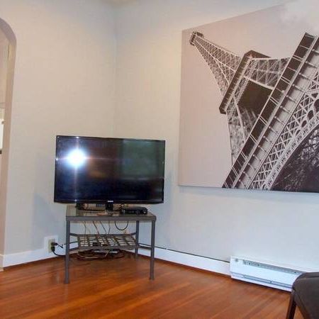 Bright Top Floor Furnished Apartment in Douglas Park Area #164 - Photo 1