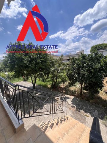 Studio/Γκαρσονιέρα για ενοικίαση Νέα Άμπλιανη (Λαμία) - Photo 3
