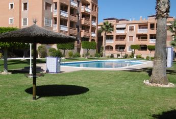 514 Las Violetas – Id 447